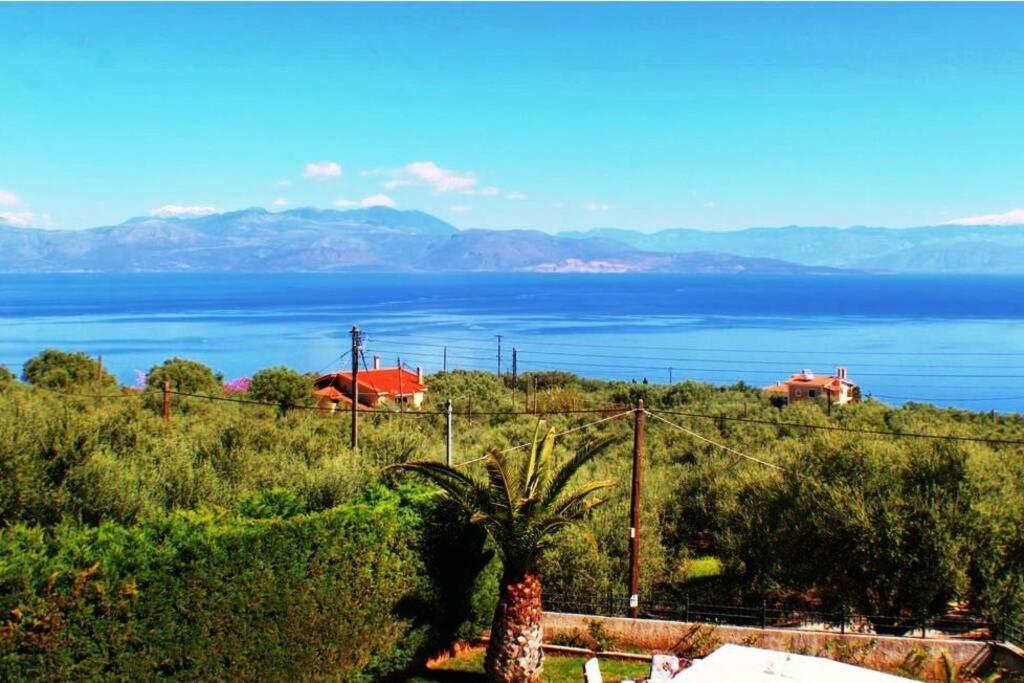 Villa Platanos Estate Akrata Esterno foto