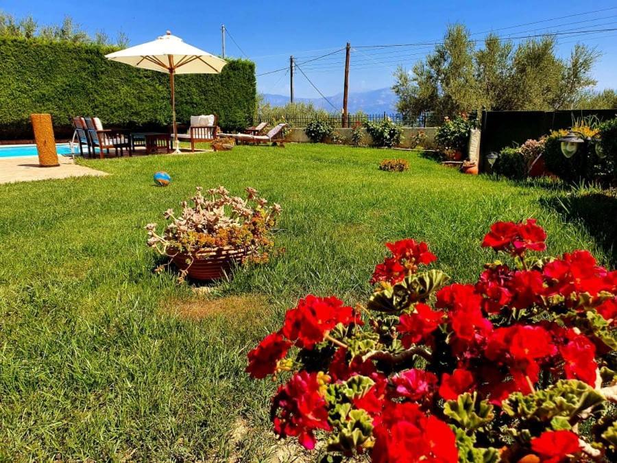 Villa Platanos Estate Akrata Esterno foto