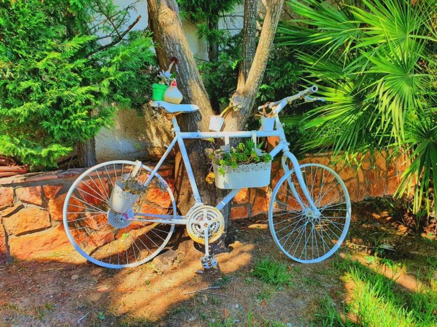 Villa Platanos Estate Akrata Esterno foto
